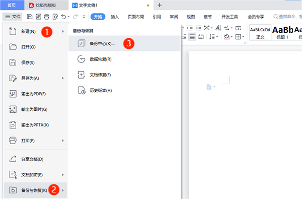 WPS Office电脑版使用教程1