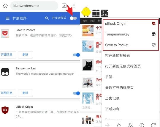 kiwibrowser浏览器怎么用3