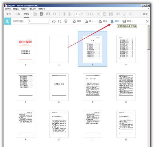 Acrobat DC2022怎么拆分pdf3