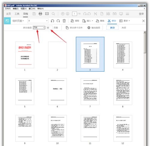 Acrobat DC2022怎么拆分pdf4