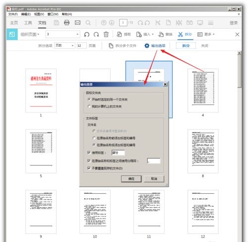 Acrobat DC2022怎么拆分pdf5