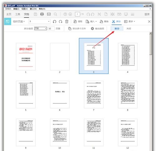 Acrobat DC2022怎么拆分pdf6