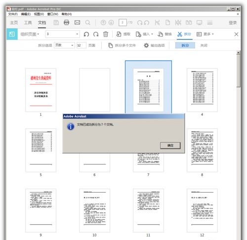 Acrobat DC2022怎么拆分pdf7