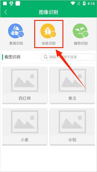 中国农技推广APP官方最新版如何进行农作物虫病识别3