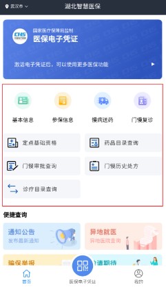 湖北智慧医保app怎么使用4