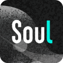 灵魂soul官方版下载 v4.95.0 安卓版