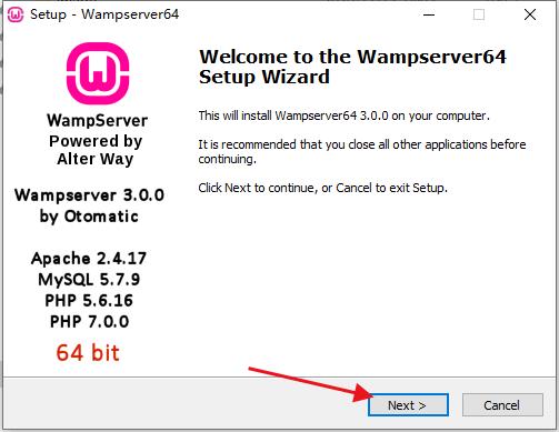 WampServer软件安装2