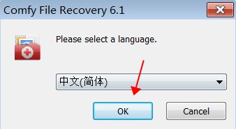 Comfy File Recovery 6安装教程1