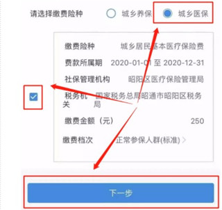 云南税务交医疗保险怎么交？3