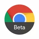 谷歌浏览器beta版下载 v122.0.6261.43 安卓版