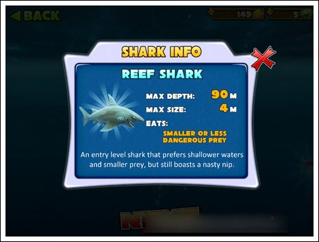饥饿鲨进化鲨鱼种类推荐1