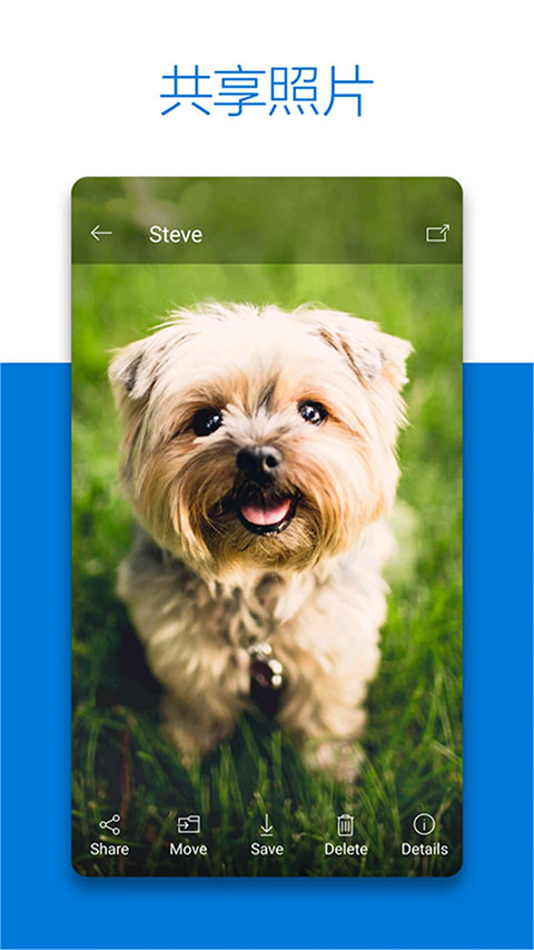 SkyDrive网盘App最新版下载 第2张图片